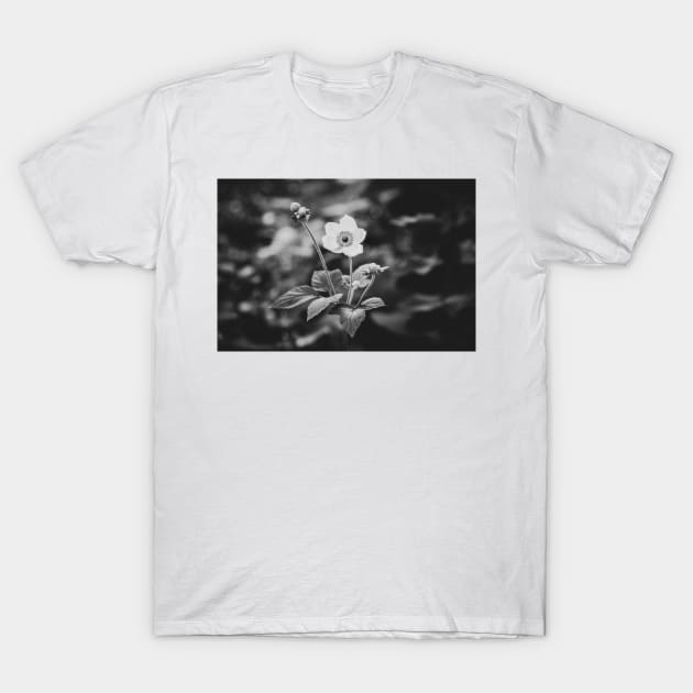 Black and White Japanese Anemone Flower T-Shirt by Amy-K-Mitchell